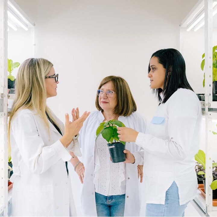 Con motivo de su 28.º aniversario, el Premio Internacional L’Oréal-UNESCO Por las Mujeres en la Ciencia 2026 rinde homenaje a cinco investigadoras pioneras