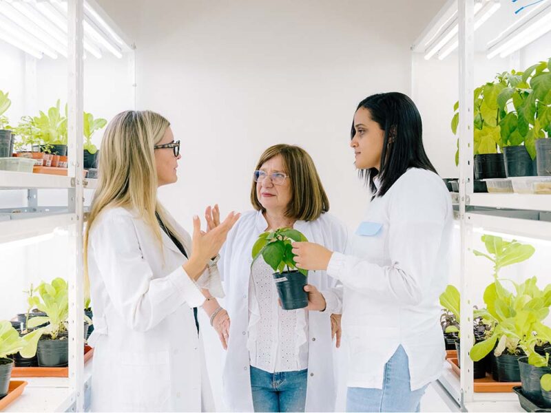 Con motivo de su 28.º aniversario, el Premio Internacional L’Oréal-UNESCO Por las Mujeres en la Ciencia 2026 rinde homenaje a cinco investigadoras pioneras