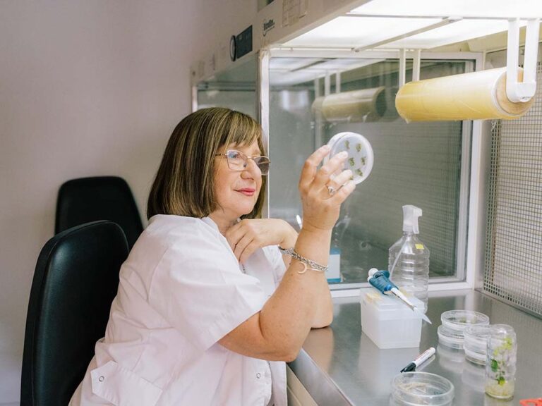 La Prof. Raquel Lía Chan ha sido reconocida con el premio internacional L’Oréal-UNESCO Por las Mujeres en la Ciencia 2026, en representación de América Latina y el Caribe