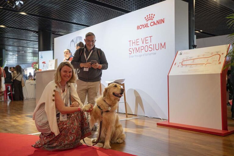 Millones de “mascotas de la pandemia” están llegando a la mediana edad, pero sus tutores podrían estar perdiendo una oportunidad clave para mejorar su esperanza de vida saludable