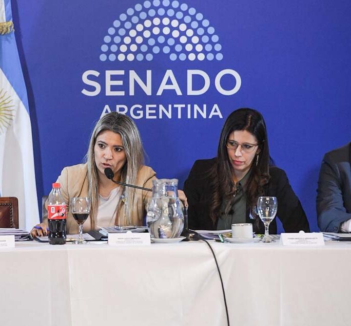 Nadia Márquez: “Durante el gobierno de Fernández no había emergencia en salud mental; ahora aparecen todas juntas”