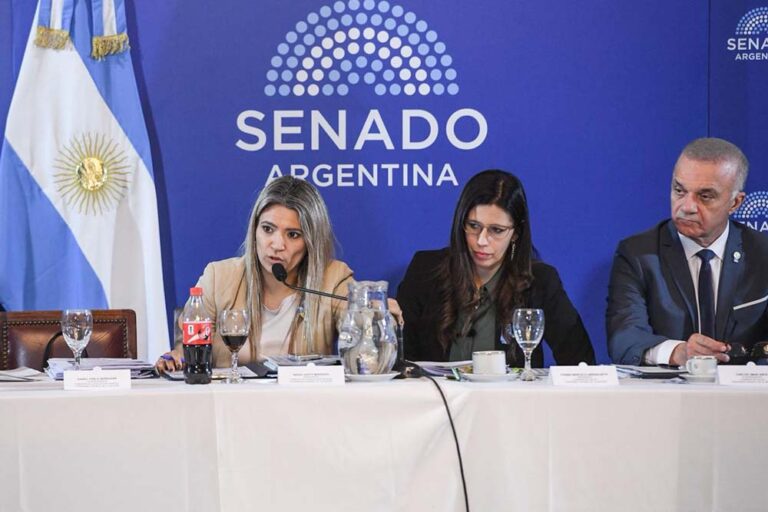 Nadia Márquez: “Durante el gobierno de Fernández no había emergencia en salud mental; ahora aparecen todas juntas”