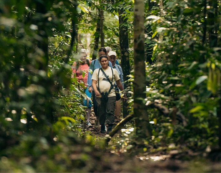 Kuaii Amazonas: donde el bosque te recibe antes de llegar en la Amazonía Peruana