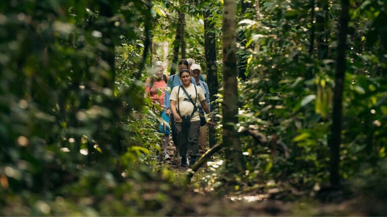 Kuaii Amazonas: donde el bosque te recibe antes de llegar en la Amazonía Peruana