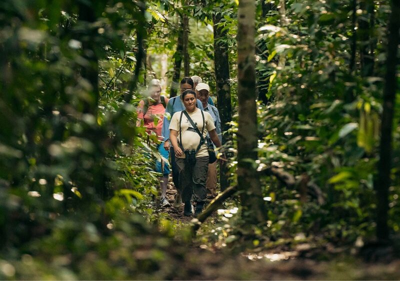 Kuaii Amazonas: donde el bosque te recibe antes de llegar en la Amazonía Peruana