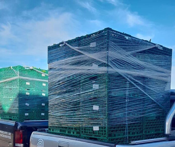 BASF y NODO continúan su alianza para recuperar alimentos y reducir el impacto ambiental