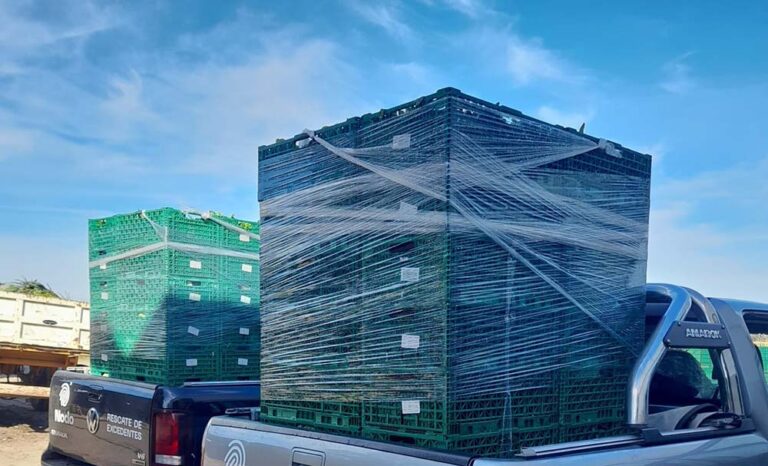 BASF y NODO continúan su alianza para recuperar alimentos y reducir el impacto ambiental