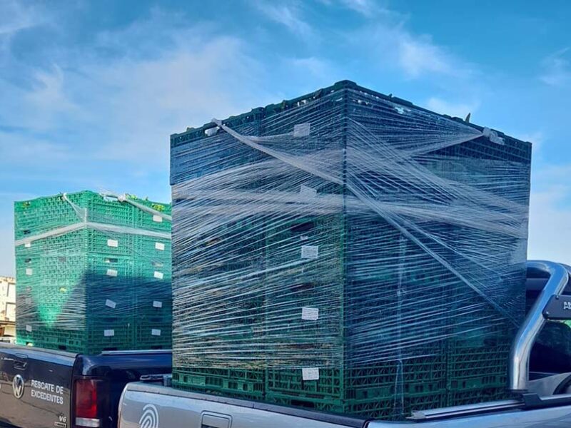 BASF y NODO continúan su alianza para recuperar alimentos y reducir el impacto ambiental