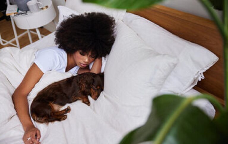 ¿Dormir con tu mascota sí o no? Qué dicen los expertos en higiene del sueño