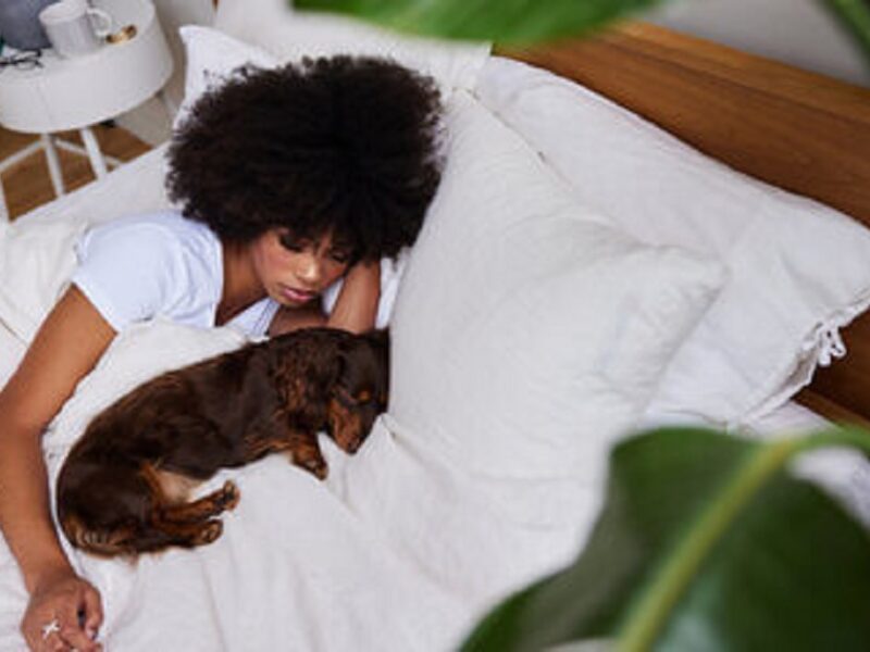 ¿Dormir con tu mascota sí o no? Qué dicen los expertos en higiene del sueño