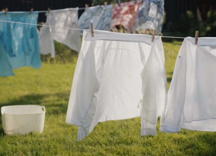 Enzimas: la innovación en jabones para la ropa que impulsa una industria textil más sustentable