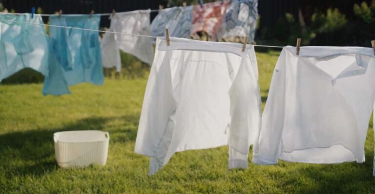 Enzimas: la innovación en jabones para la ropa que impulsa una industria textil más sustentable