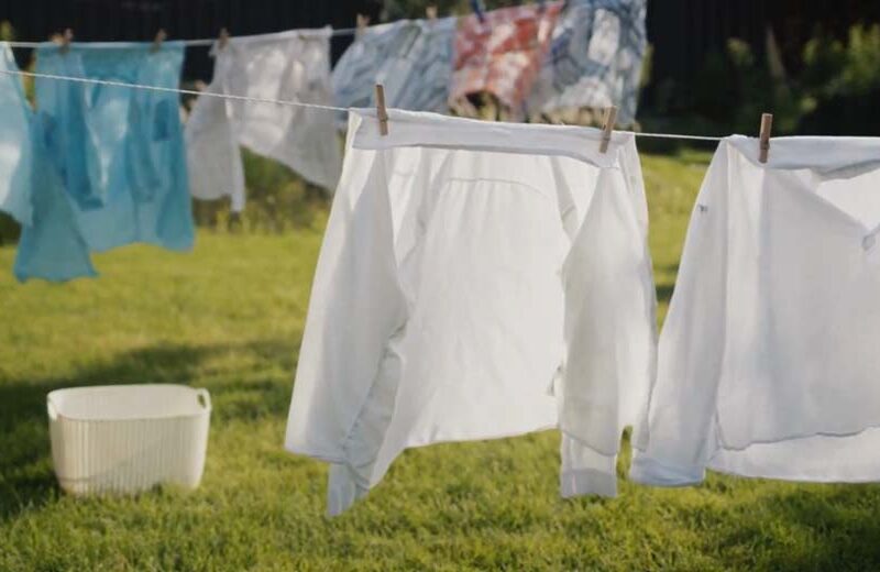 Enzimas: la innovación en jabones para la ropa que impulsa una industria textil más sustentable