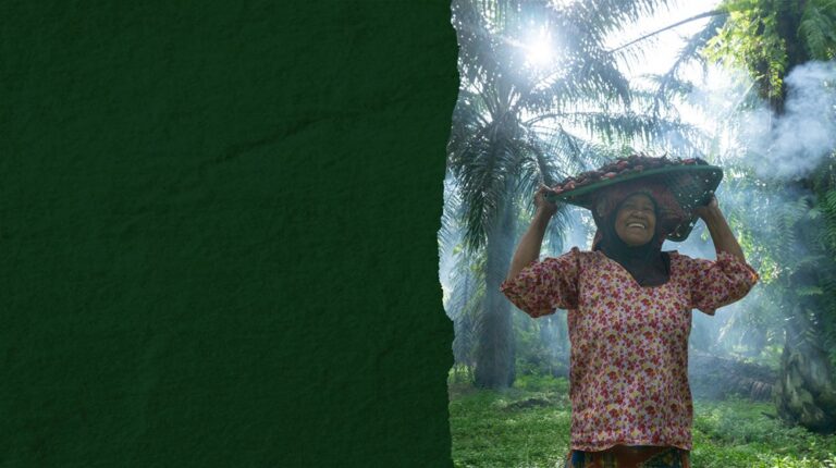 El Informe de Sostenibilidad del Grupo Ferrero 2025 destaca los valores agrícolas como motor de resiliencia en todas las cadenas de suministro
