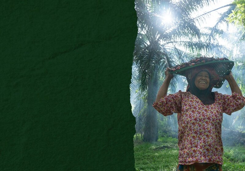 El Informe de Sostenibilidad del Grupo Ferrero 2025 destaca los valores agrícolas como motor de resiliencia en todas las cadenas de suministro