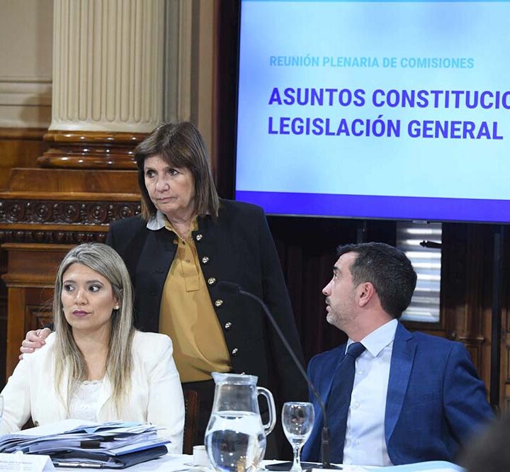 El proyecto “Ley Hojarasca” obtuvo dictamen favorable en el Senado