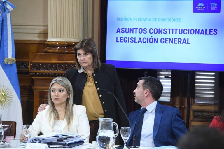 El proyecto “Ley Hojarasca” obtuvo dictamen favorable en el Senado