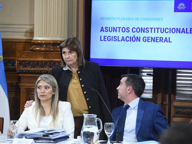 El proyecto “Ley Hojarasca” obtuvo dictamen favorable en el Senado
