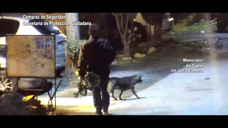 Hurtó una bicicleta de niño en la madrugada y quedó detenido por el COT