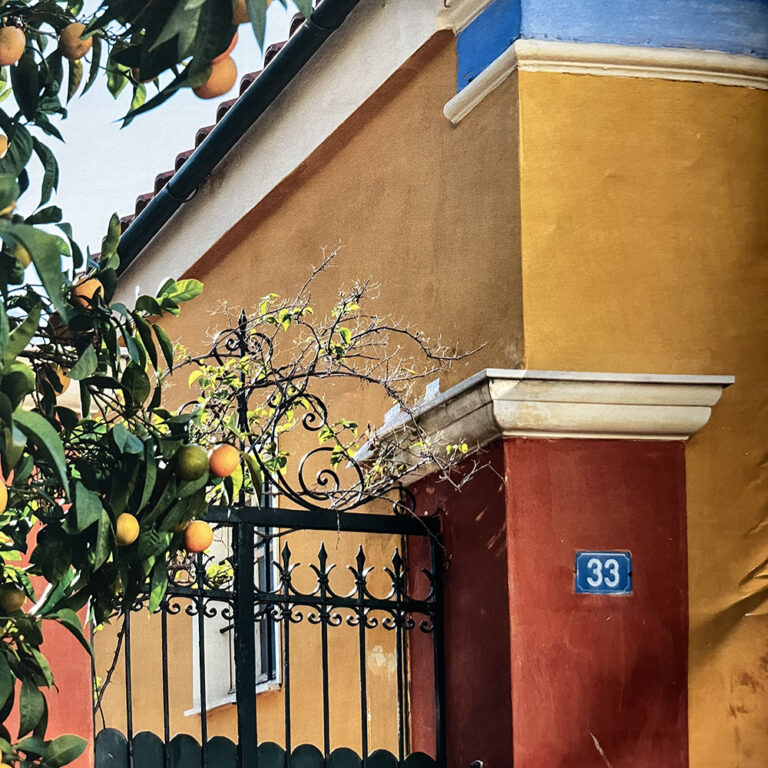 Bajo la mirada del Partenón