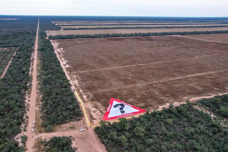 Multa millonaria al desmonte ilegal más grande del país
