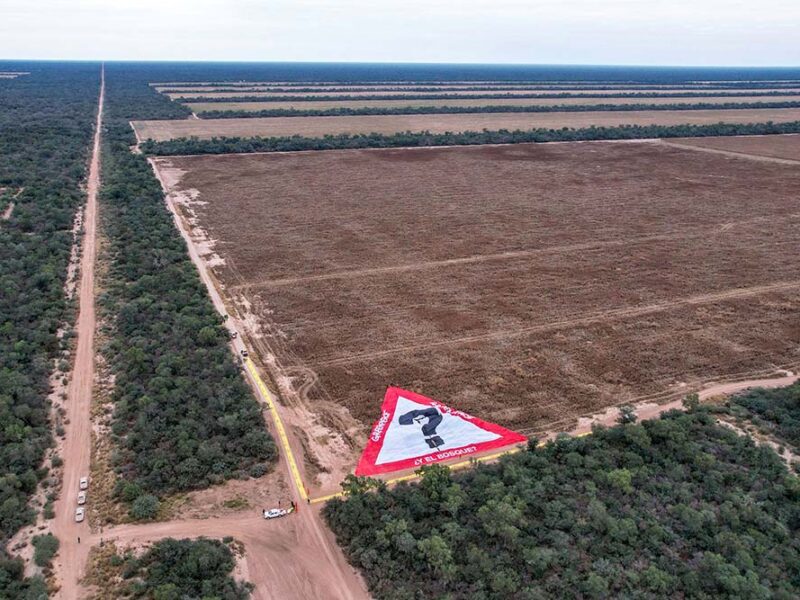 Multa millonaria al desmonte ilegal más grande del país