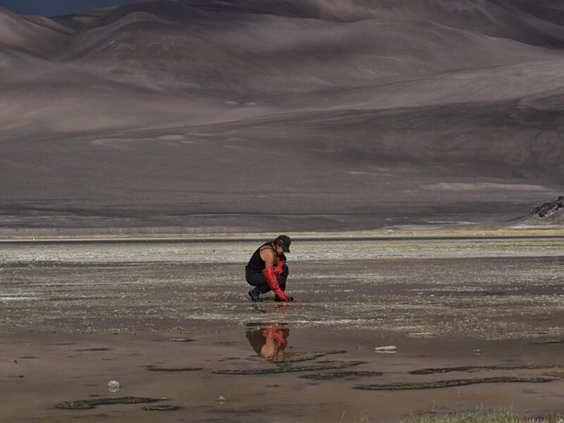 Una empresa creadas por mujeres cientificas del CONICET que busca transformar la agricultura con ciencia argentina
