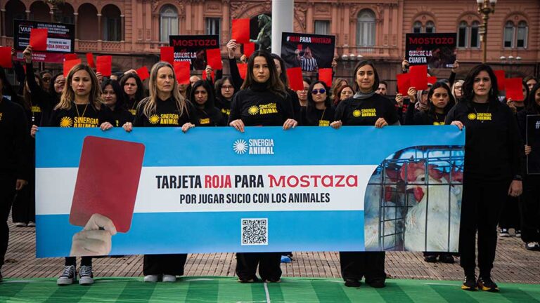 Tarjeta roja para Mostaza: activistas de seis países llegaron a Plaza de Mayo para denunciar que la empresa sigue sin comprometerse con las gallinas