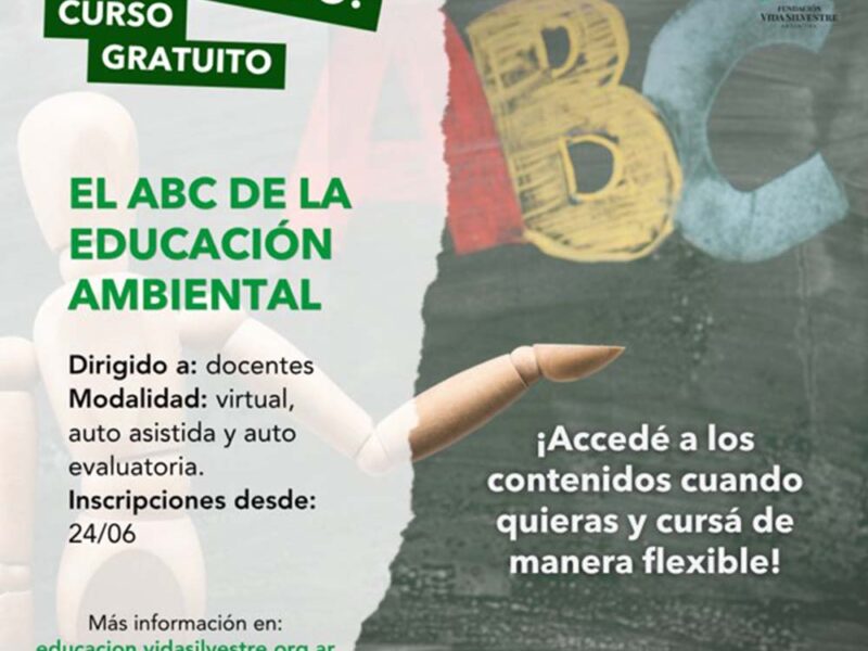 Fundación Vida Silvestre Argentina lanza el ABC de la educación ambiental: un nuevo curso gratuito para docentes de todo el país