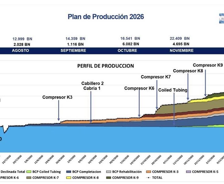 Aldyl Energía acelera su plan de crecimiento en Venezuela