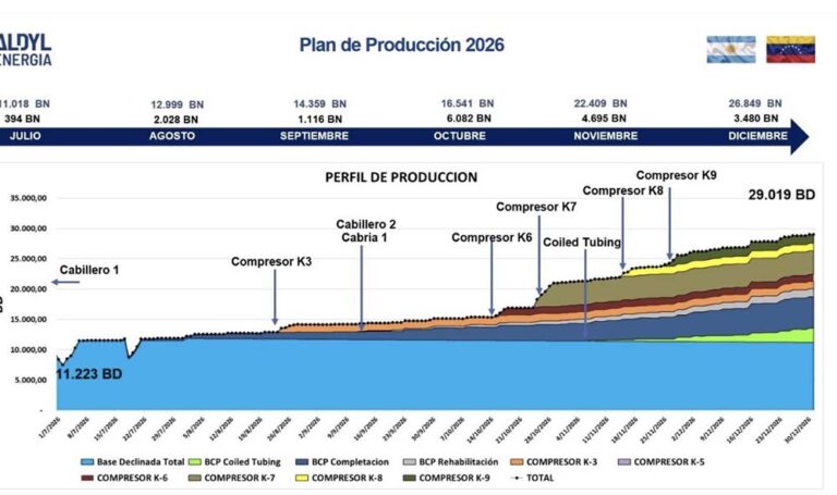 Aldyl Energía acelera su plan de crecimiento en Venezuela
