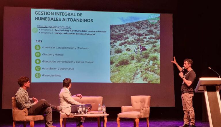 El plan de Villavicencio y el CONICET para proteger los humedales de Mendoza