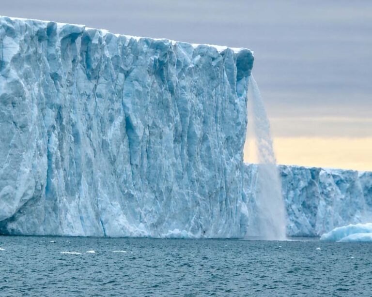 Cuando el hielo recuerda nombres
