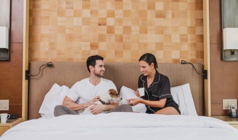Destinos para celebrar el Día del Perro junto a tu mascota