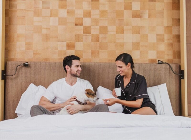 Destinos para celebrar el Día del Perro junto a tu mascota