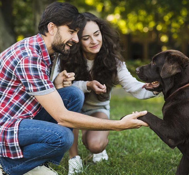 Día Mundial de las Zoonosis: prevenir enfermedades que se transmiten entre animales y personas protege la salud pública
