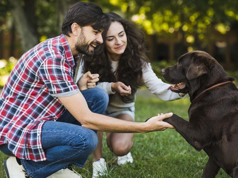 Día Mundial de las Zoonosis: prevenir enfermedades que se transmiten entre animales y personas protege la salud pública