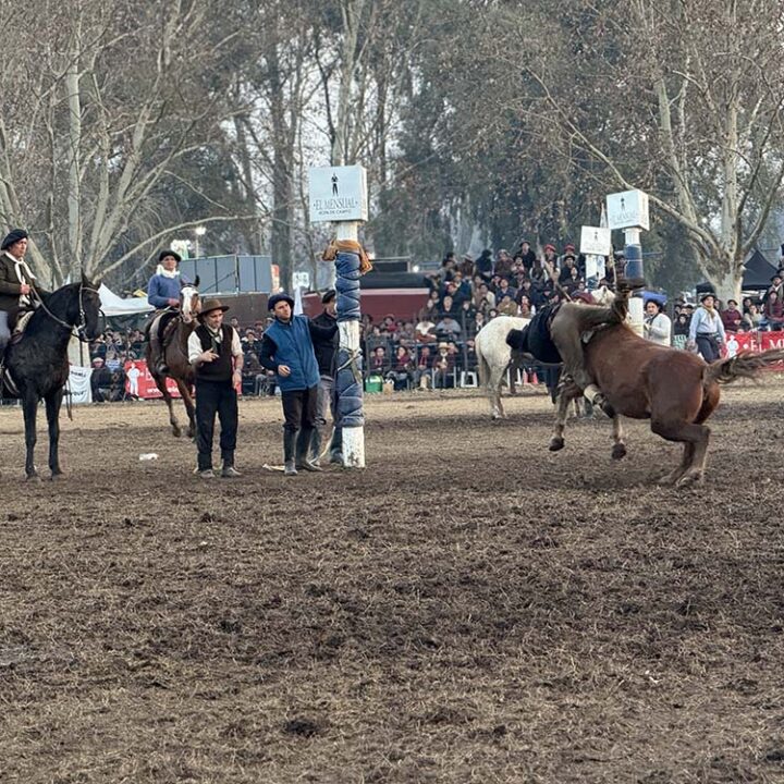 Cinco días para vivir la tradición con jineteadas, folklore y miles de visitantes