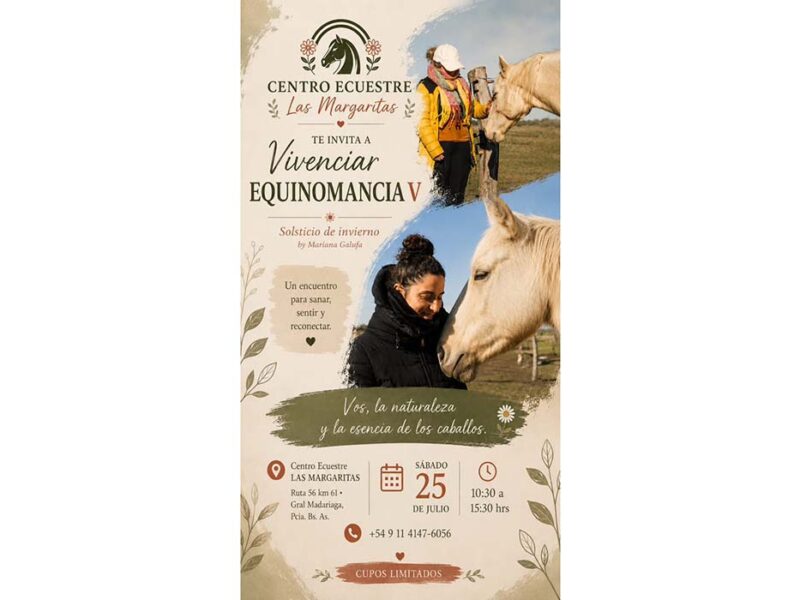 La magia de los caballos que te ayudan a sanar