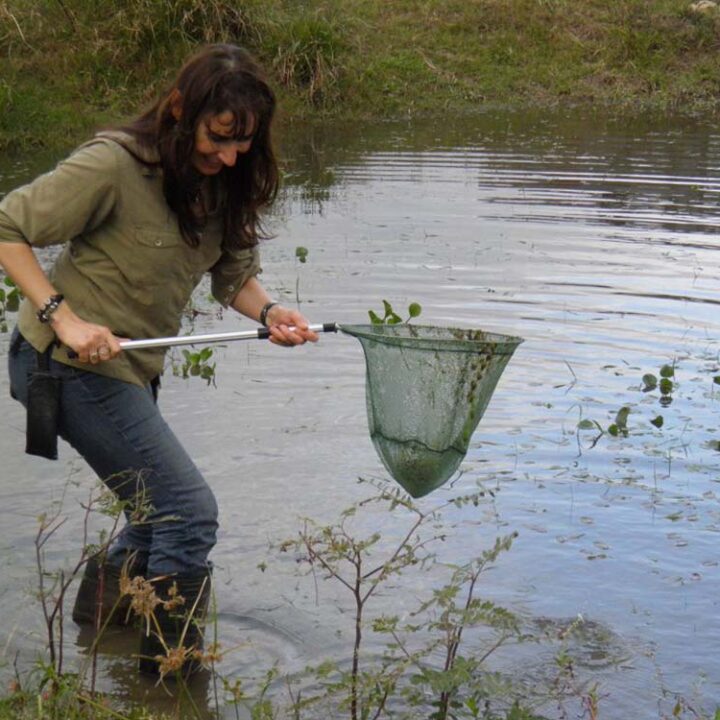 La Escuela Argentina de Naturalistas abre las inscripciones para comenzar a cursar en agosto