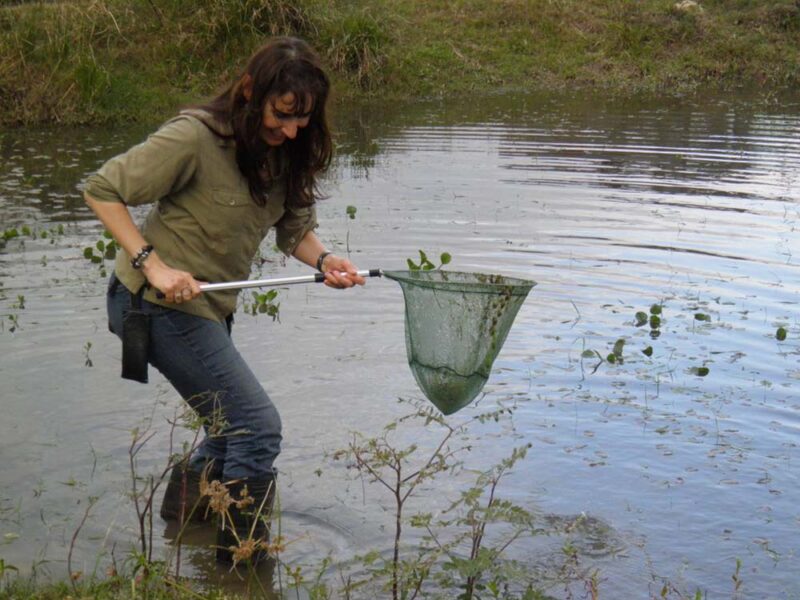 La Escuela Argentina de Naturalistas abre las inscripciones para comenzar a cursar en agosto
