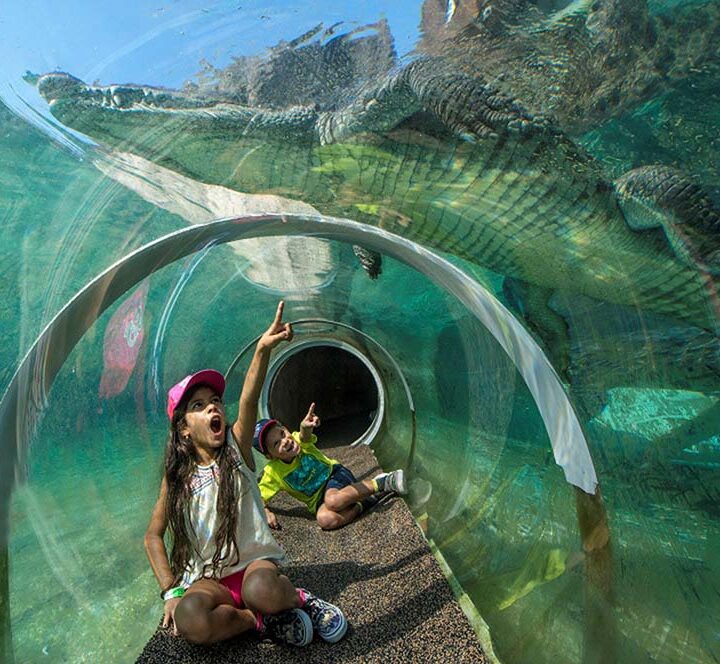 Vacaciones de invierno en Miami: playas, gastronomía y experiencias para toda la familia