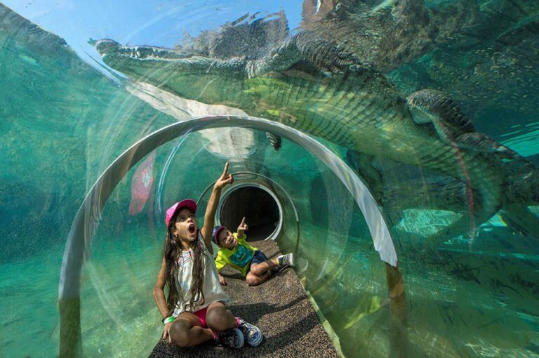 Vacaciones de invierno en Miami: playas, gastronomía y experiencias para toda la familia