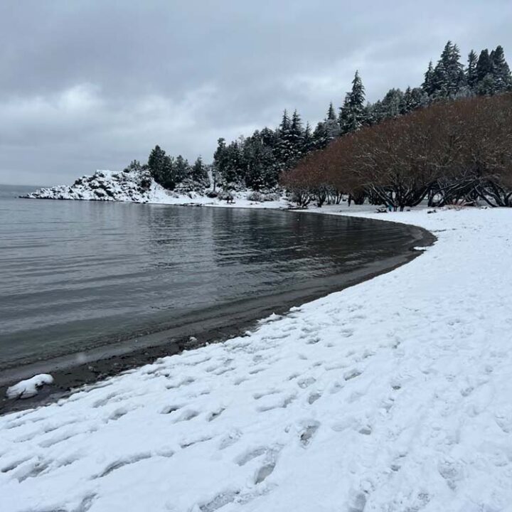 La nieve llegó en el mejor momento de la temporada y Bariloche se vistió de blanco