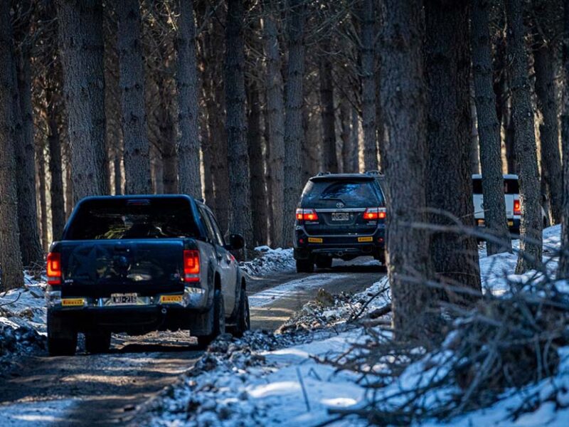 Pirelli comparte las claves para un viaje seguro en las vacaciones de invierno