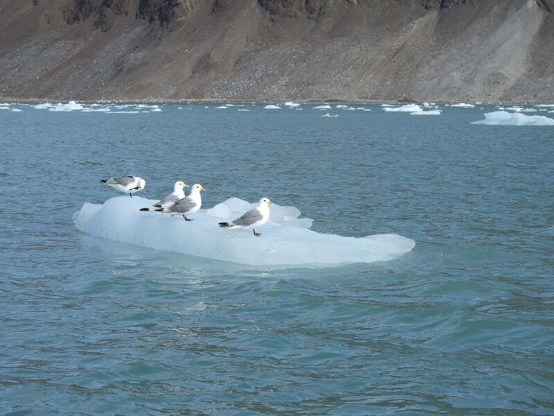 El príncipe que exploró el hielo