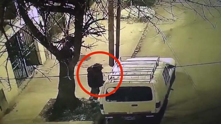 Cámaras de Seguridad de San Fernando frustraron al instante el intento de robo de una camioneta