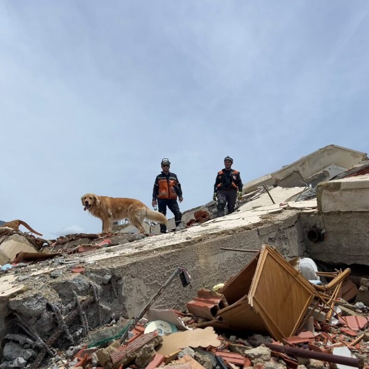 Terremoto en Venezuela: ACECC desplegó un operativo de búsqueda y rescate con perros y realizó 48 localizaciones