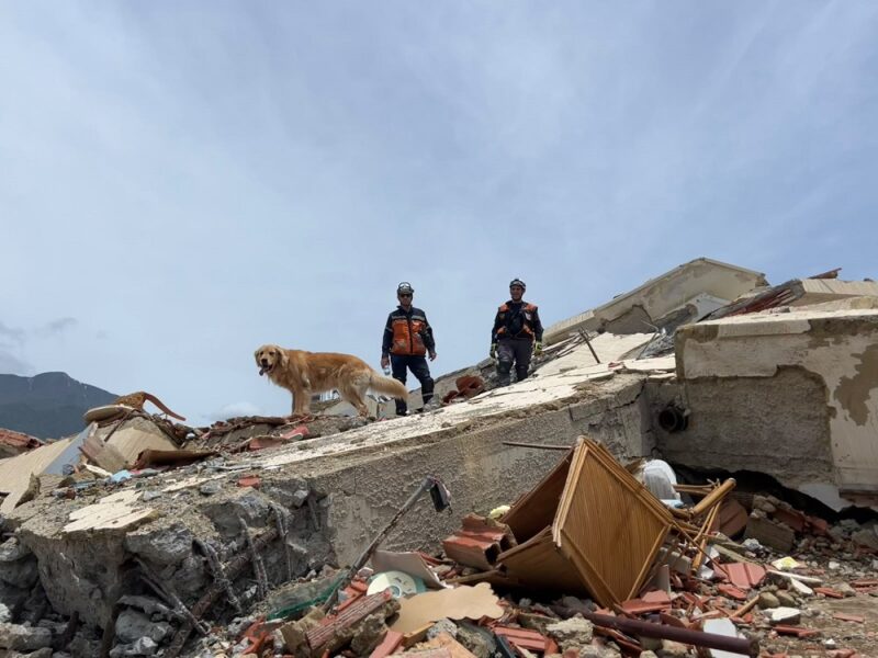 Terremoto en Venezuela: ACECC desplegó un operativo de búsqueda y rescate con perros y realizó 48 localizaciones