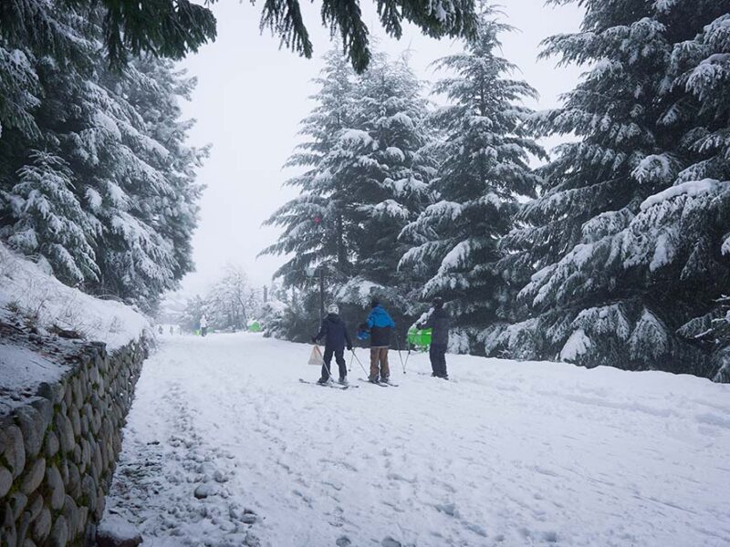 Bariloche alcanzó un 90% de ocupación y mantiene muy buenas expectativas para agosto